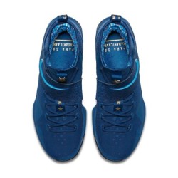 Nike LeBron 14 - Domination Totale Terrain