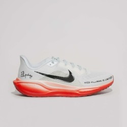 Nike Pegasus 41 - Chaussure de Running Innovante